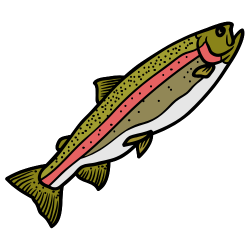 釣り